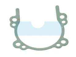 Joint De Carter Pour Débroussailleuse Echo 10024255930 - Joint Moteur Haute Performance