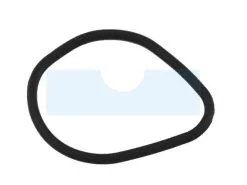 Joint De Jauge D'huile Pour Tecumseh 29610037 - Réservoir et Bouchon Compatible