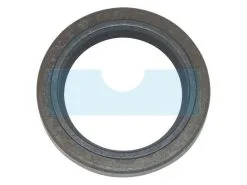 Joint Spi Pour Moteur Briggs & Stratton 391086S - Joint Moteur Haute Performance