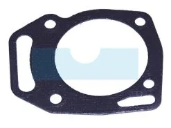 Joint de Culasse Briggs et Stratton 690888 - Pièce Moteur Haute Qualité