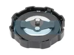 Bouchon D'essence Pour Moteur Briggs & Stratton 794641 - Réservoir et Bouchon de Remplacement